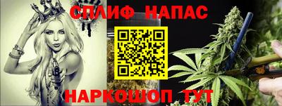 ГАЛЛЮЦИНОГЕННЫЕ ГРИБЫ Камышлов