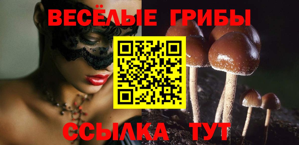 Галлюциногенные грибы прущие грибы Красноармейск