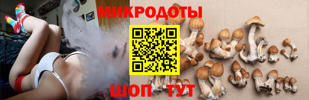 Красноармейск  Галлюциногенные грибы GOLDEN TEACHER  Галлюциногенные грибы ЛСД  Вход с VPN 